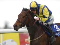 Serpentaria winning today Ruby Walsh's mount