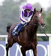 Septimus   bypassed Royal Ascot