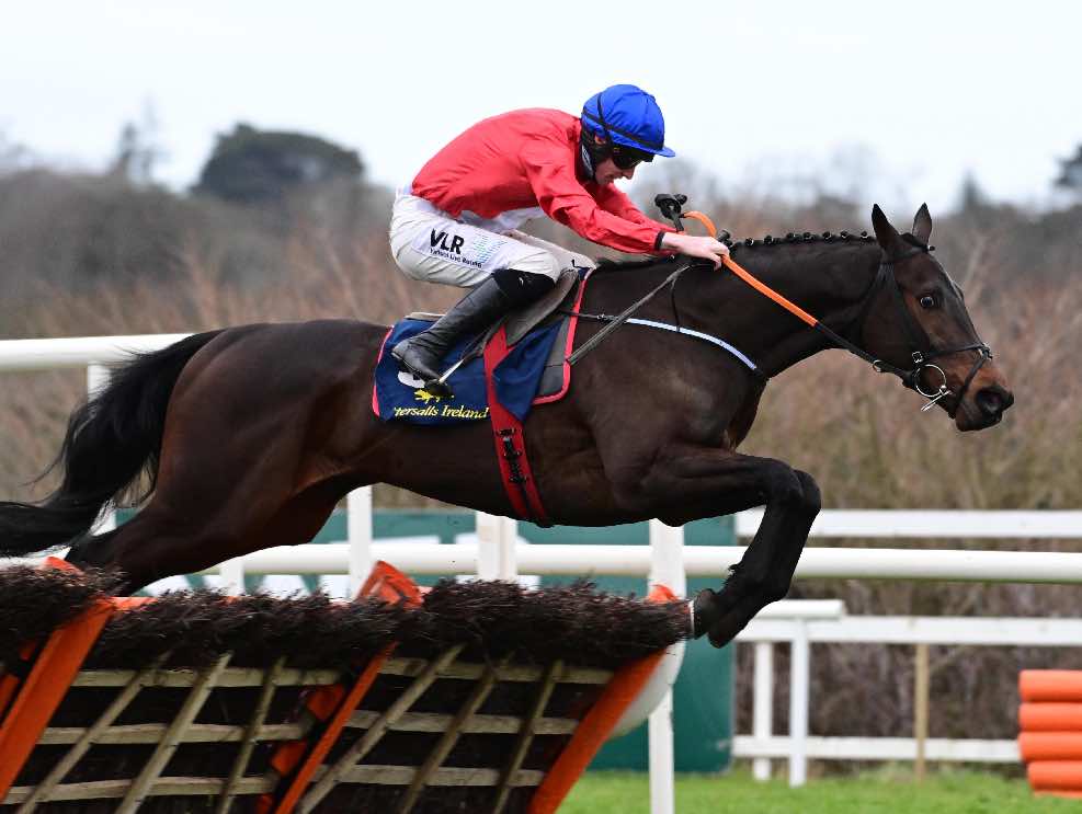 Quilixios winning the Juvenile Hurdle last year