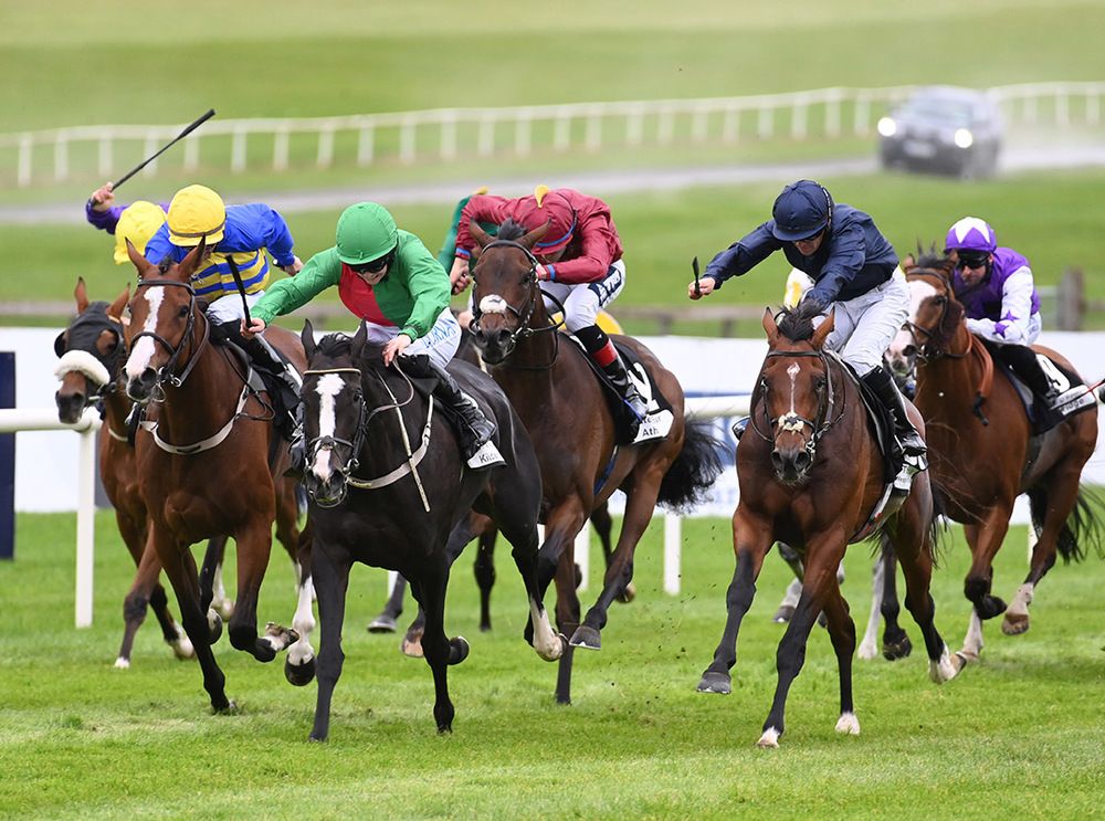 Waterville, navy silks, came from last to first under Wayne Lordan to win the Irish Cesarewitch