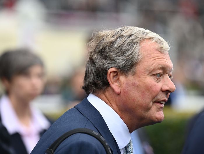 Trainer William Haggas is hoping he could have a live Gold Cup contender on his hands