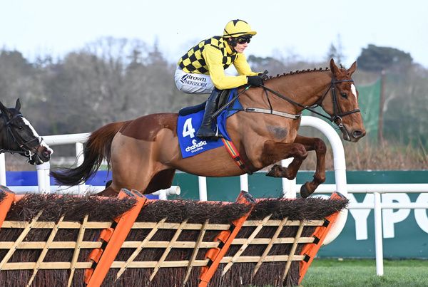 State Man and Paul Townend will bid to cap an unbeaten season at Punchestown on Friday. 